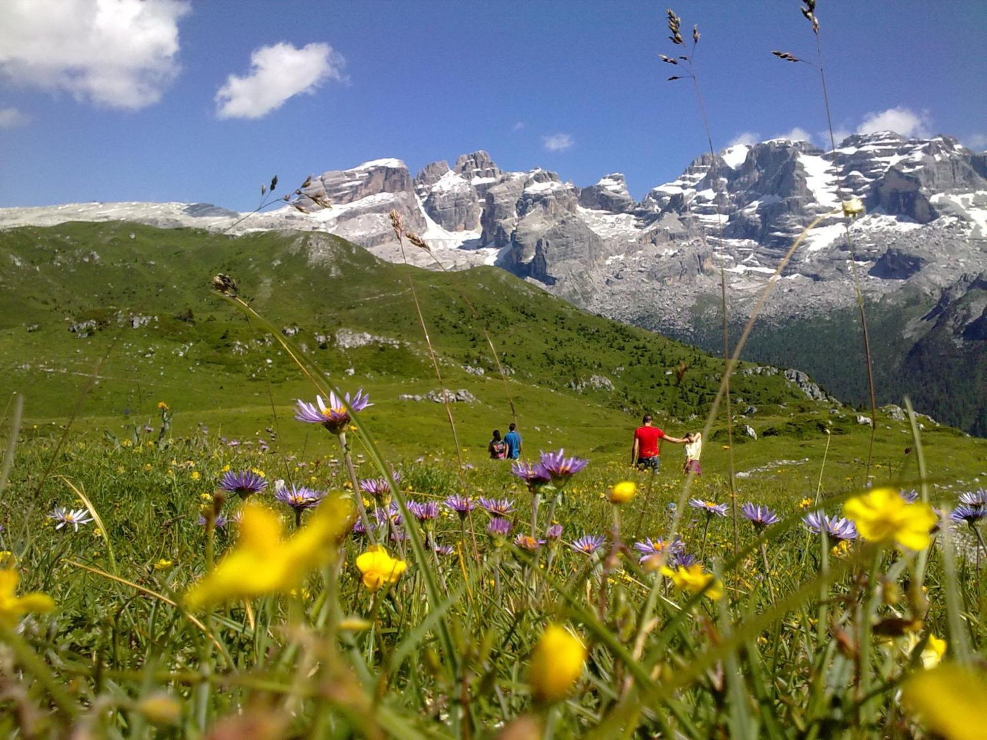 Hotel Alpina Pinzolo Esterno foto